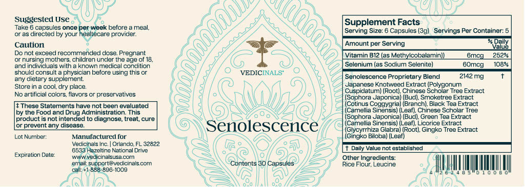 Senolescence